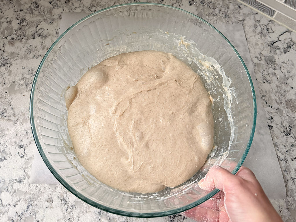 Dough in a bowl during bulk fermentation, risen and airy with a slightly domed surface, showing about a 50% increase in size.