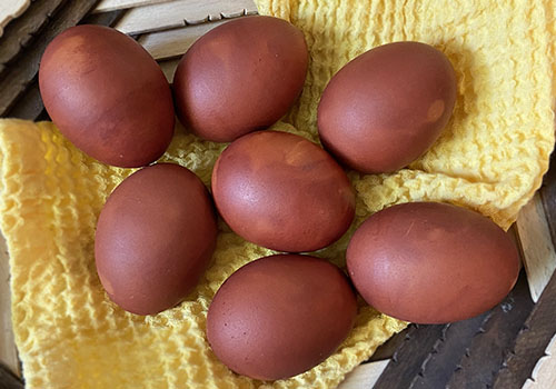Eggs Dyed with Onions (skins)